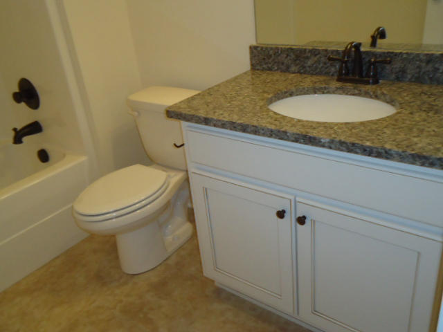 1003 Little Sorrel Road, Unit 459 Hixson, TN 37343 - Photo 32 of 36 DSC05229