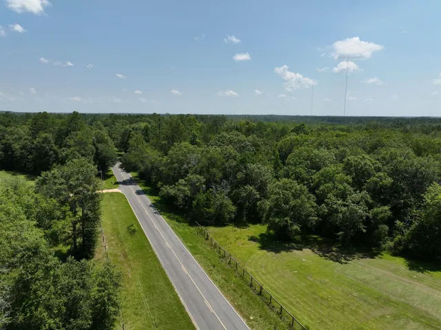 a view of a yard with potted plants