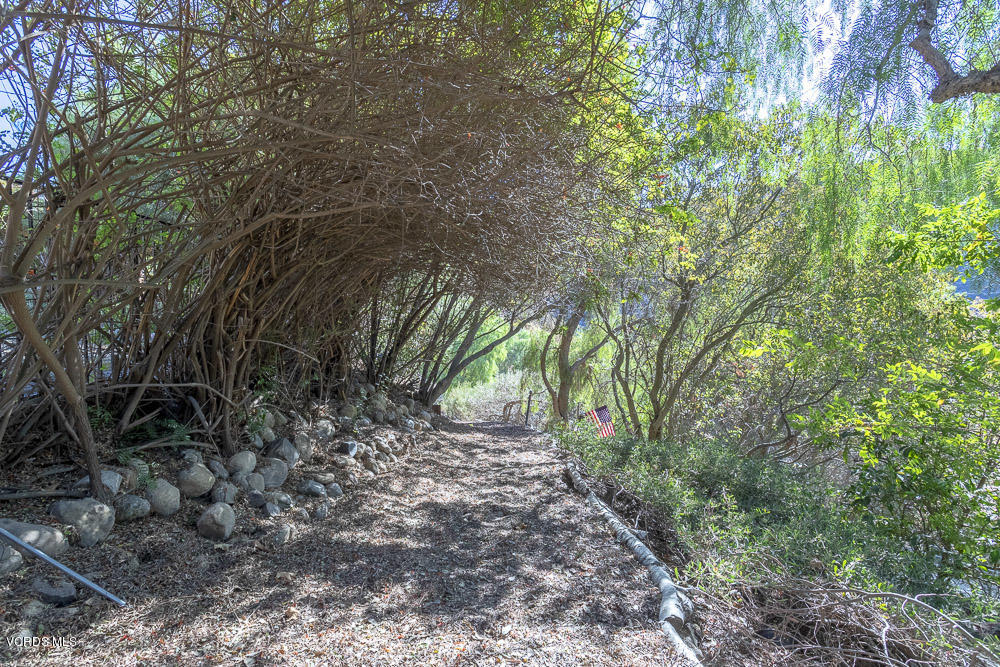 1168 Rambling Road Simi Valley, CA 93065 - Photo 37 of 45 a view of a yard with plants and trees