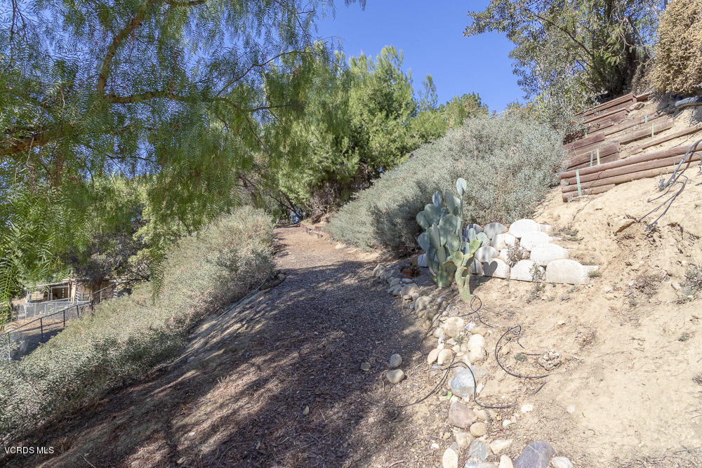 1168 Rambling Road Simi Valley, CA 93065 - Photo 39 of 45 a view of a yard with plants and trees
