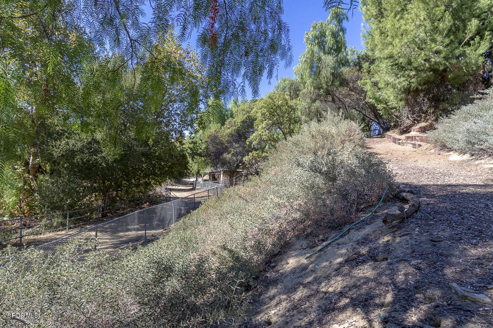 1168 Rambling Road Simi Valley, CA 93065 - Photo 40 of 45 a view of backyard with green space