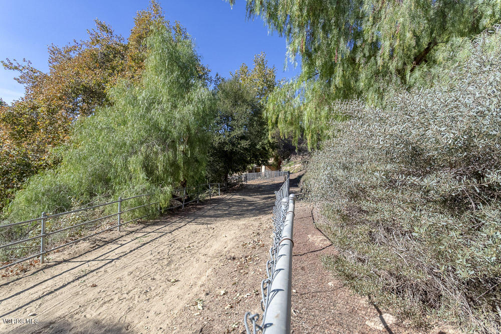 1168 Rambling Road Simi Valley, CA 93065 - Photo 41 of 45 a view of a yard with plants and trees