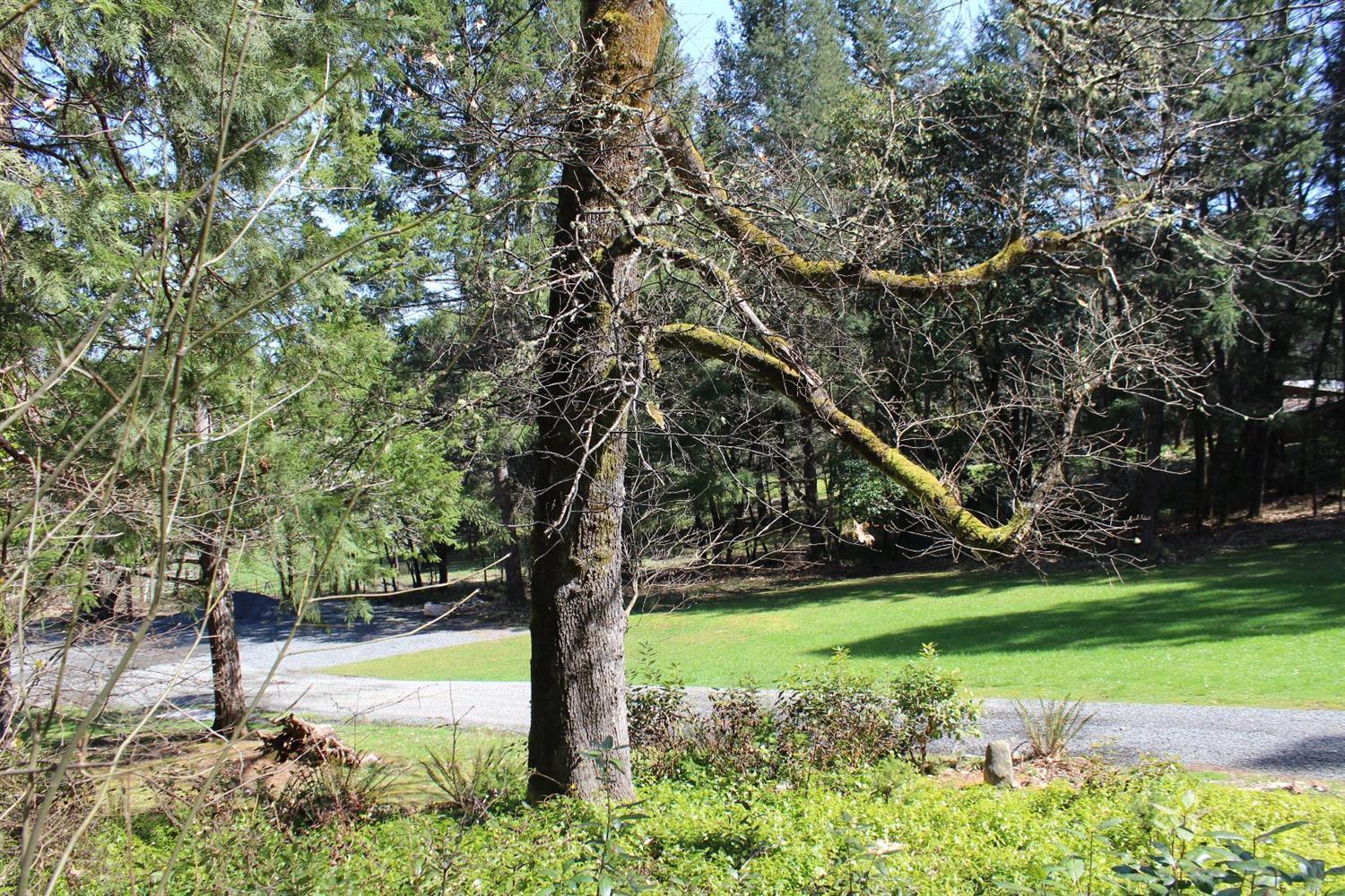 1337 Marcy Loop Road Grants Pass, OR 97527 - Photo 21 of 35 Additional Photo