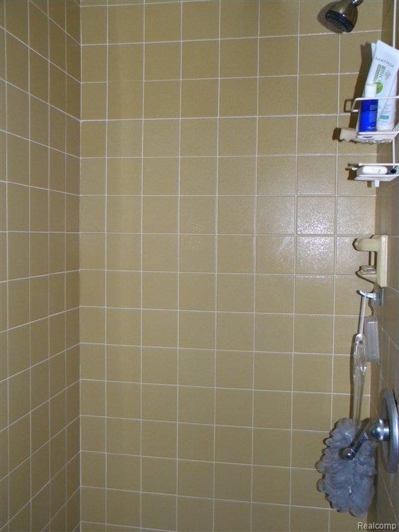 1447 Oakbrook E Drive, Unit 40 Rochester, MI 48307 - Photo 16 of 19 Master Shower