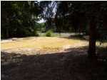 237 Big Cedar Road Ponce de Leon, FL 32455 - Photo 5 of 10 Gallery Image 5