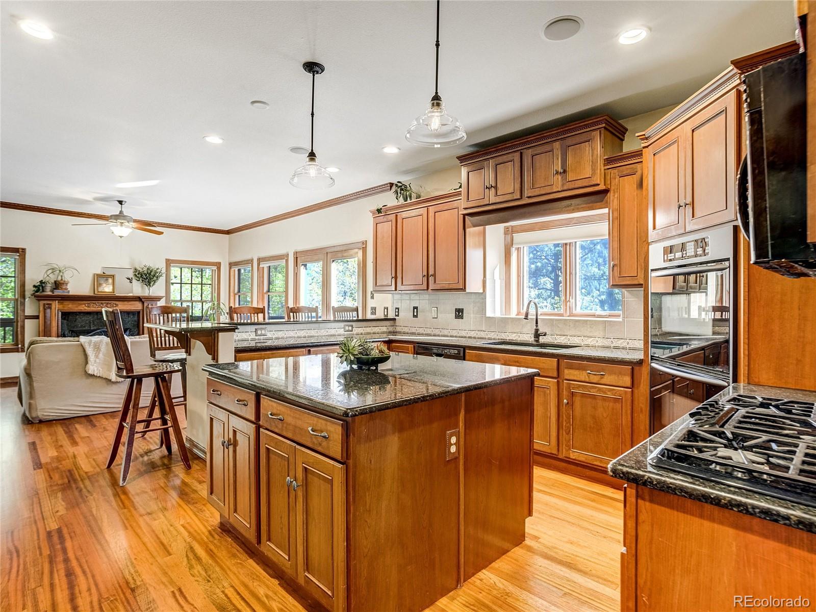 4660 Hagerman Road Cascade, CO 80809 - Photo 5 of 50