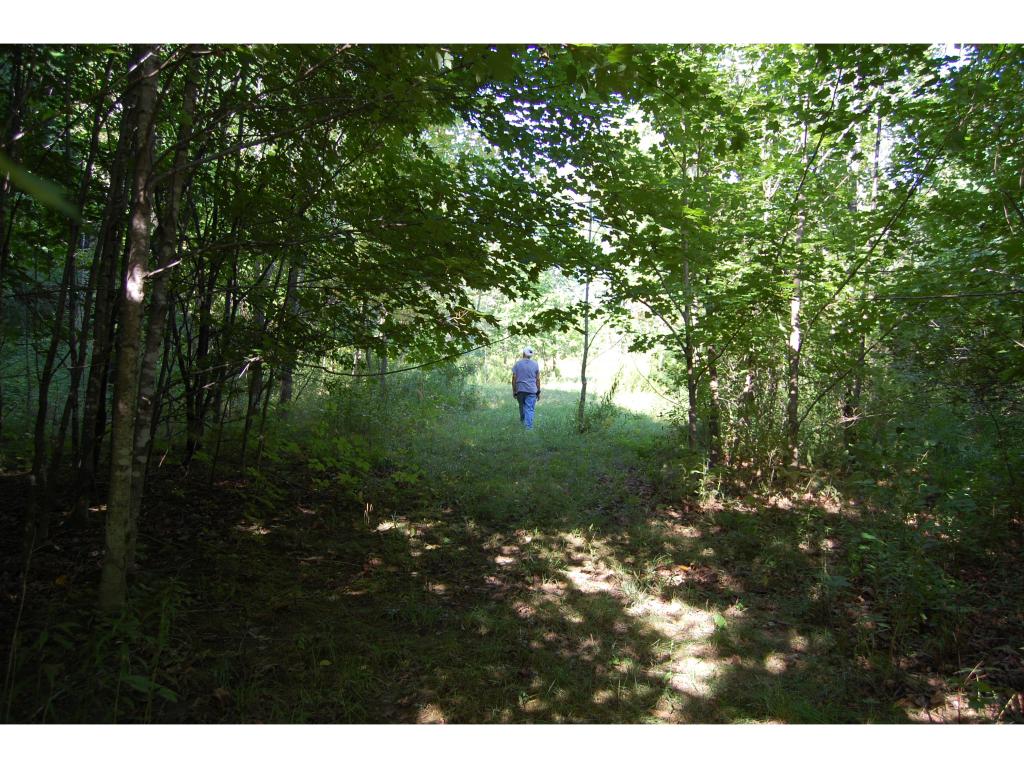 Cemetary Rd Cemetary Road North Ferrisburgh, VT 05473 - Photo 11 of 16 Gallery Image 11