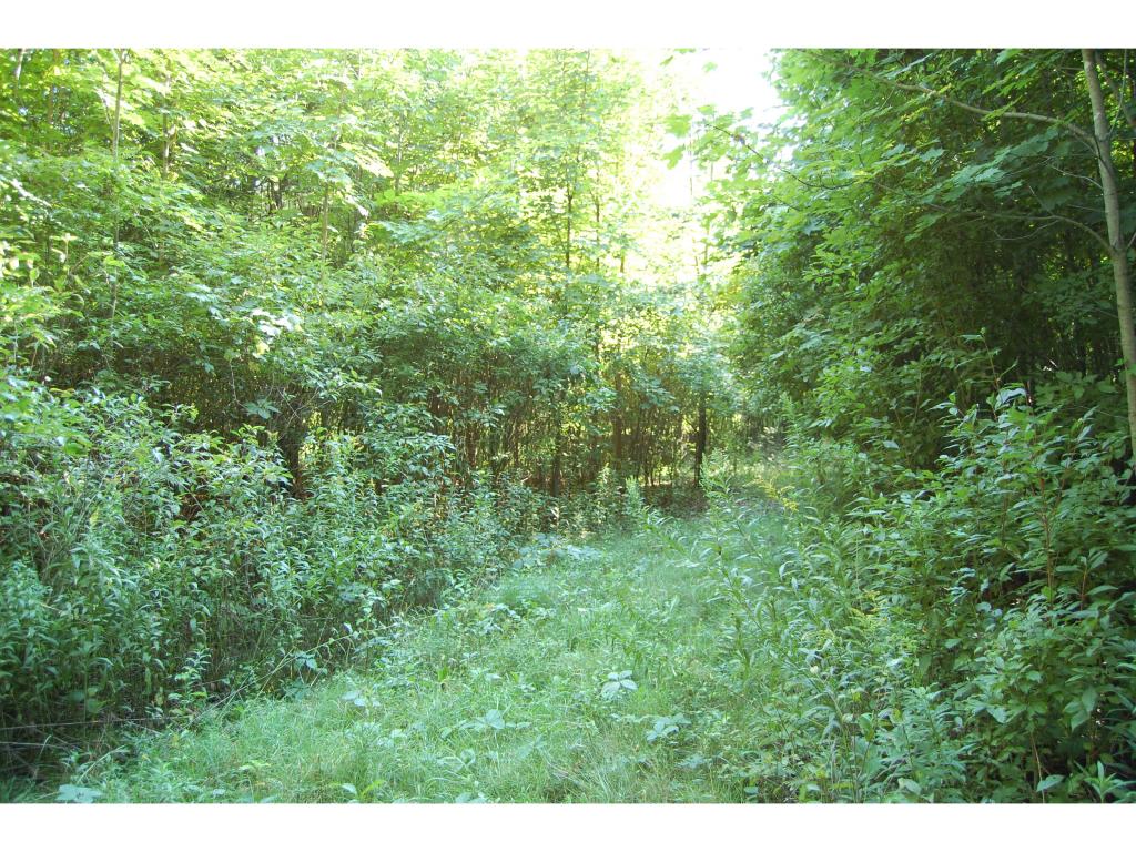 Cemetary Rd Cemetary Road North Ferrisburgh, VT 05473 - Photo 12 of 16 Gallery Image 12