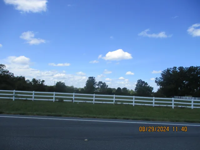 a view of road and trees