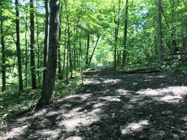 875 Crooked Creek Road Irvine, KY 40336 - Photo 14 of 17 Listing Photo