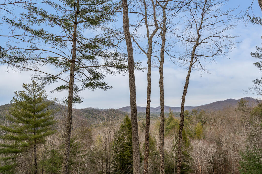 131 Toccoa Overlook Lane Blue Ridge, GA 30513 - Photo 2 of 58 Gallery Image 2