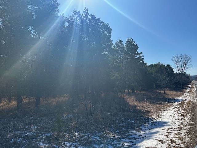 0 North 31 Road Manton, MI 49663 - Photo 2 of 13