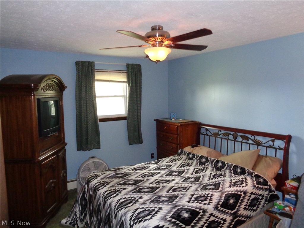 49310 North Ridge Road Amherst, OH 44001 - Photo 17 of 21