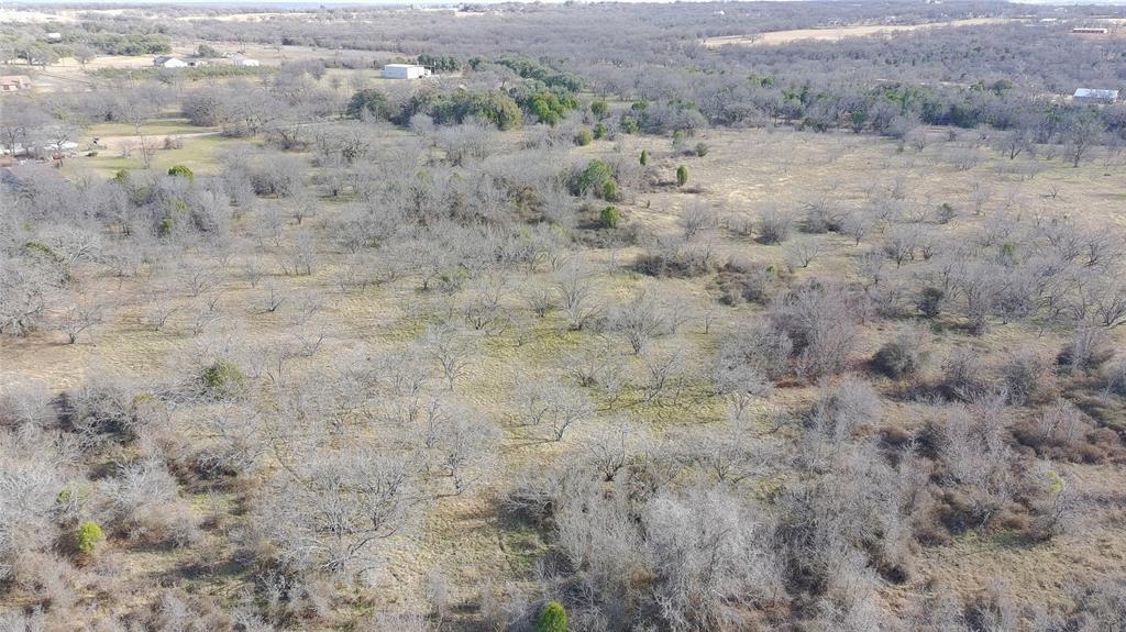 Tbd Shattles Road Mineral Wells, TX 76067 - Photo 9 of 12 a view of a dry yard with green space