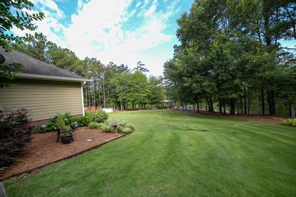 8750 D Warm Springs Road Midland, GA 31820 - Photo 5 of 44 Side yard leading to back yard