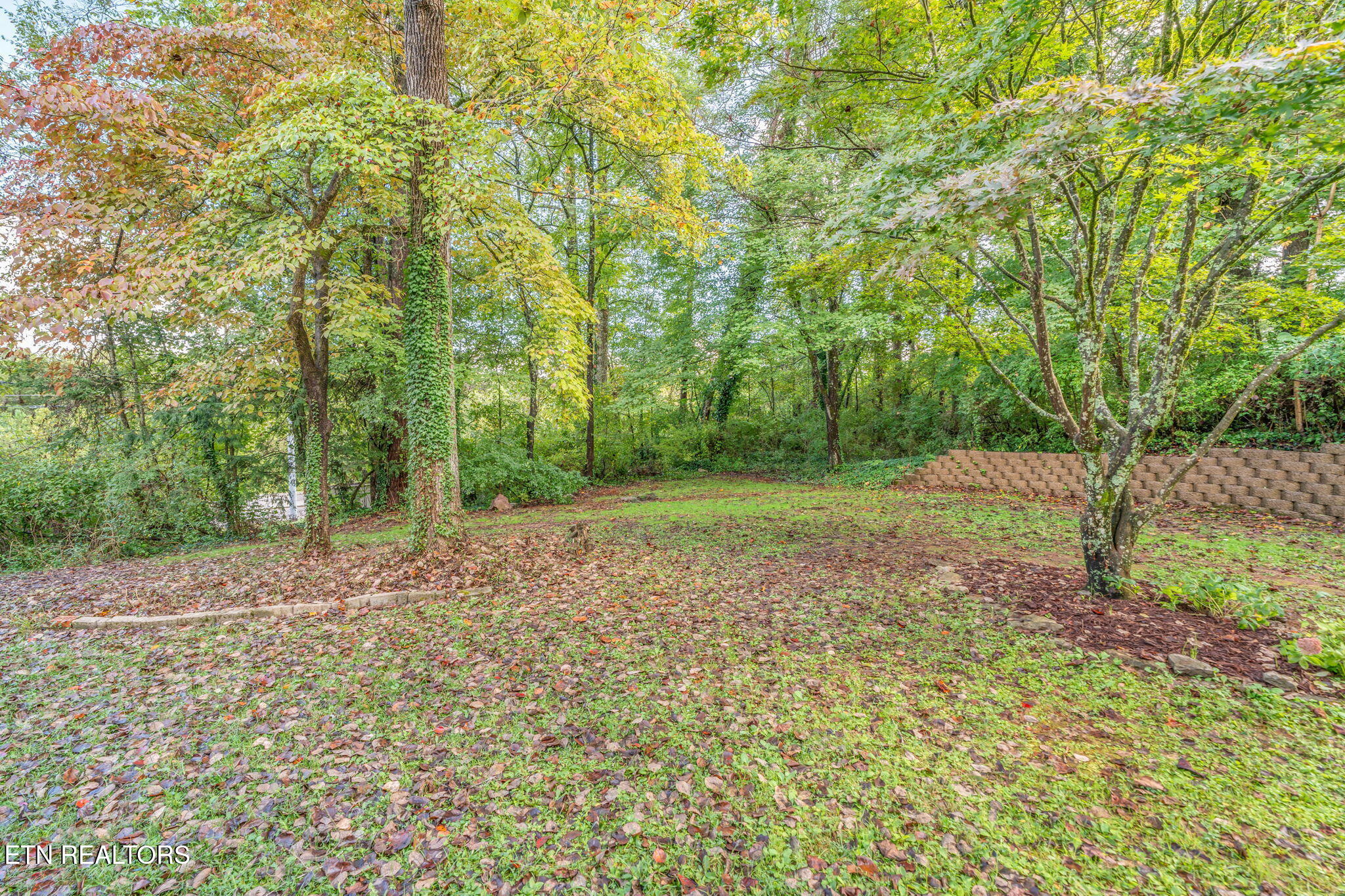 101 Newport Drive Oak Ridge, TN 37830 - Photo 45 of 51 41-web-or-mls-101 Newport Drive-42