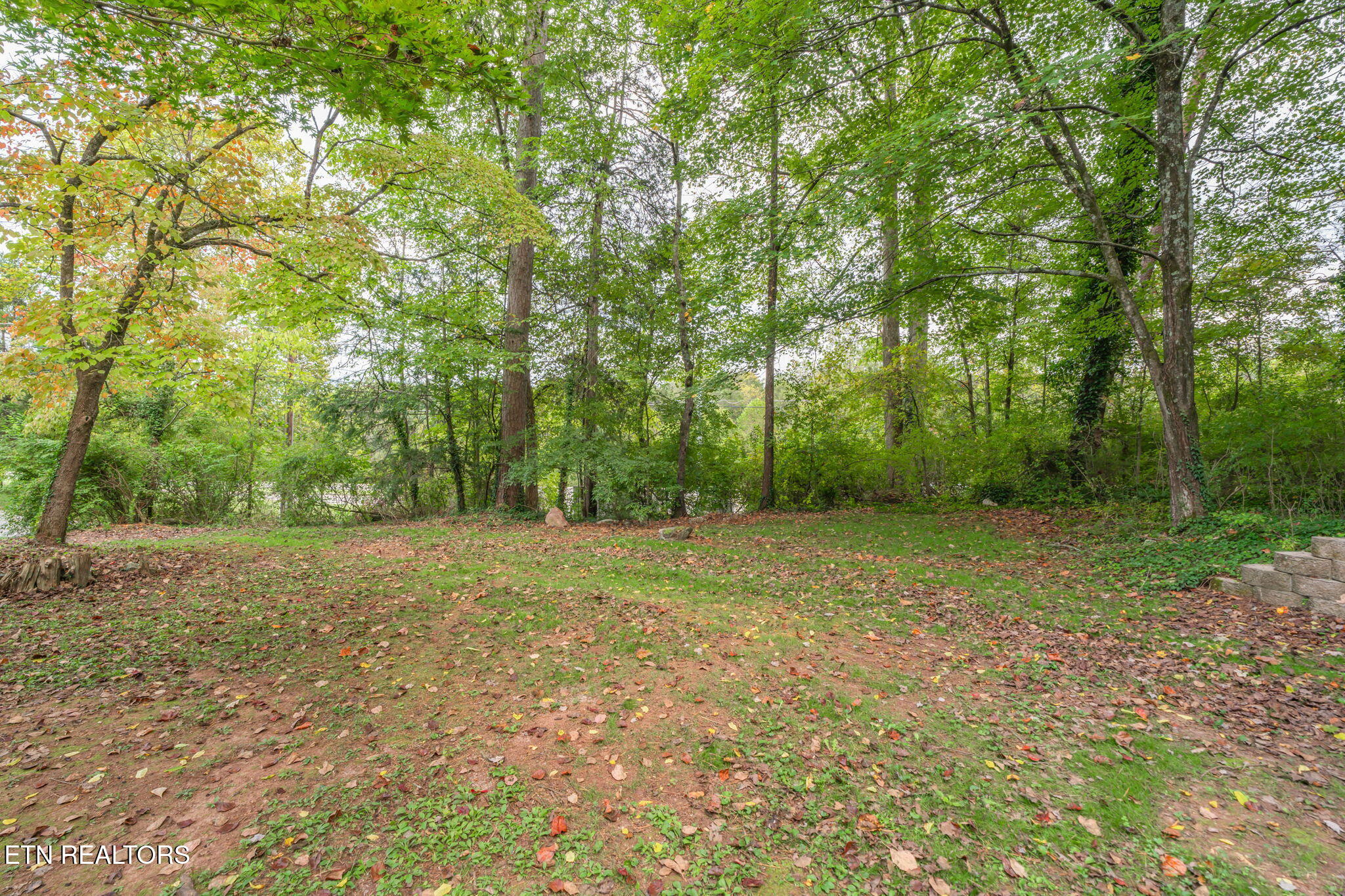 101 Newport Drive Oak Ridge, TN 37830 - Photo 46 of 51 54-web-or-mls-Update 101 Newport_-9