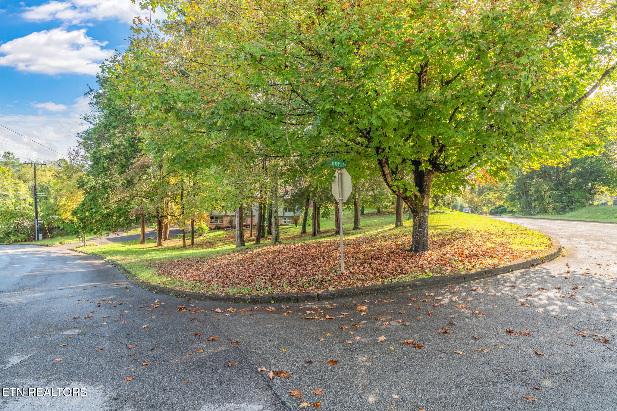 101 Newport Drive Oak Ridge, TN 37830 - Photo 5 of 51 4-web-or-mls-101 Newport Drive-5