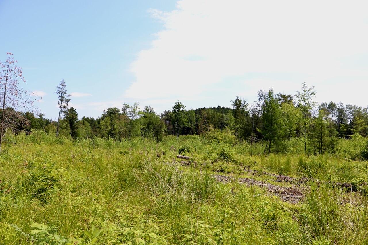 20-ac West Clarence Road Harrison, MI 48625 - Photo 30 of 32 031