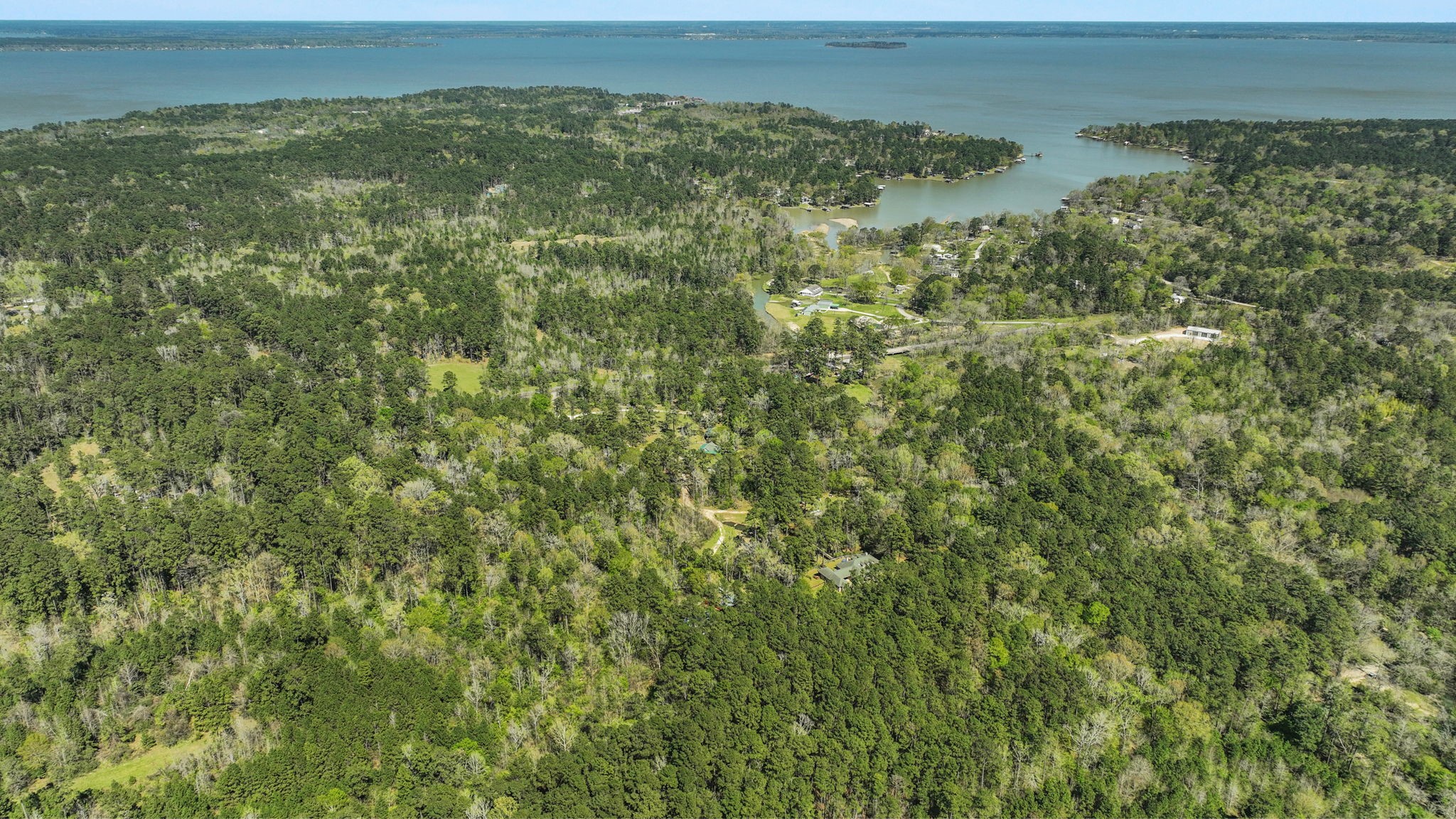 250 Critter Creek Road Coldspring, TX 77331 - Photo 45 of 48 33 Acres with so much potential near Lake Livingston