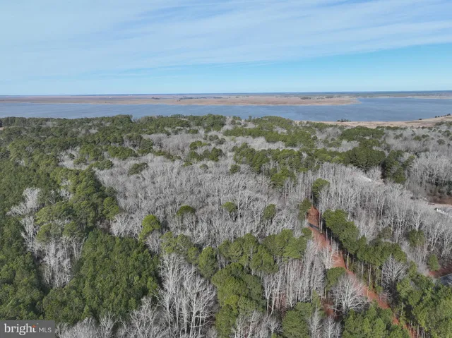 a view of outdoor space