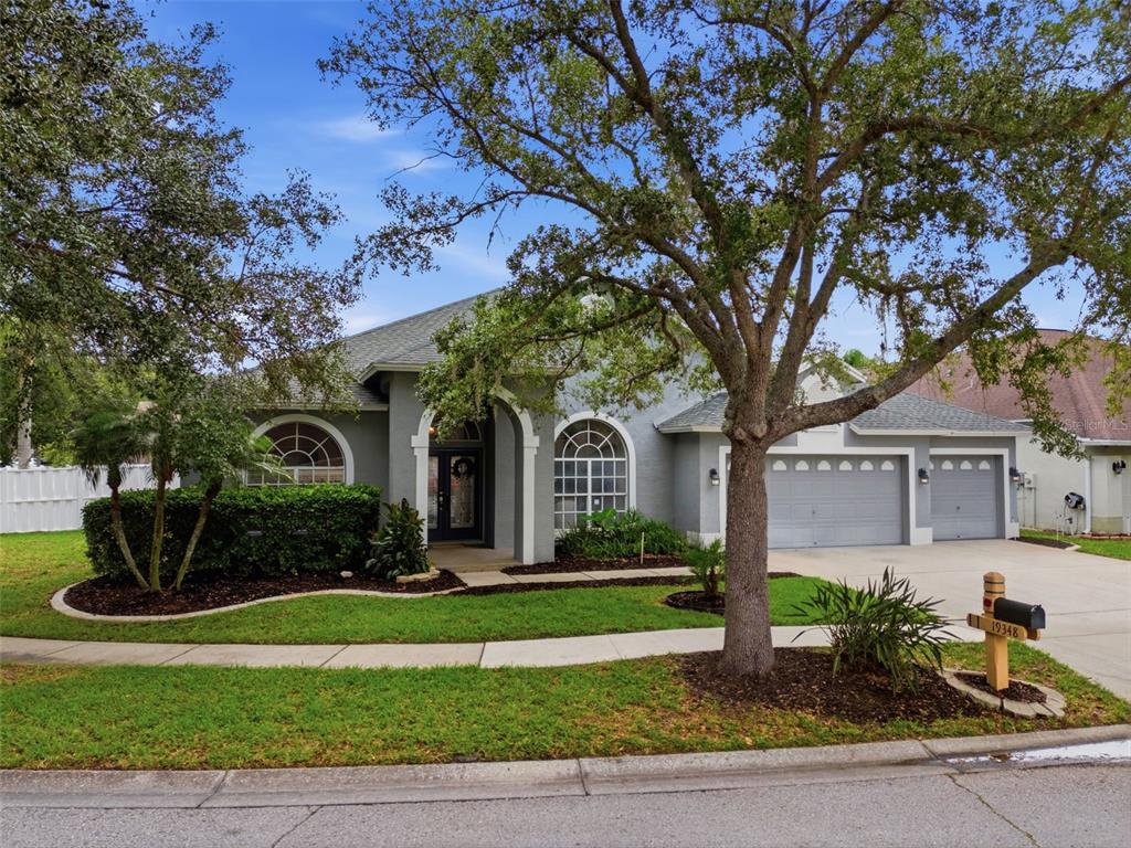 19348 Wind Dancer Street Lutz, FL 33558 - Photo 68 of 83