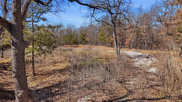 a view of a yard with trees