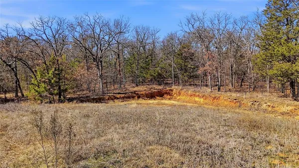 a view of city and mountain