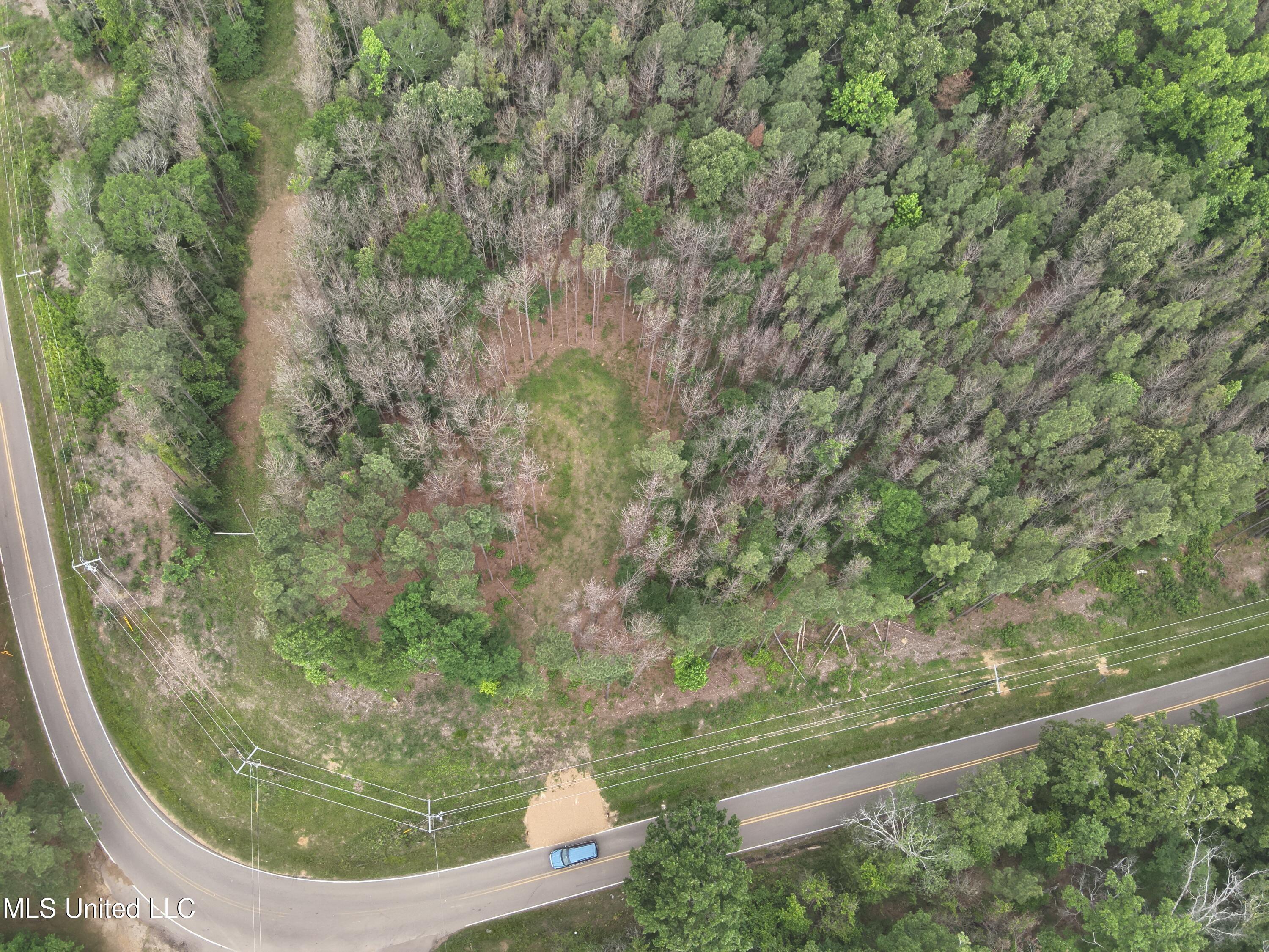303 Pearl River Church Road Canton, MS 39046 - Photo 3 of 11 DJI_20240506092650_0005_V