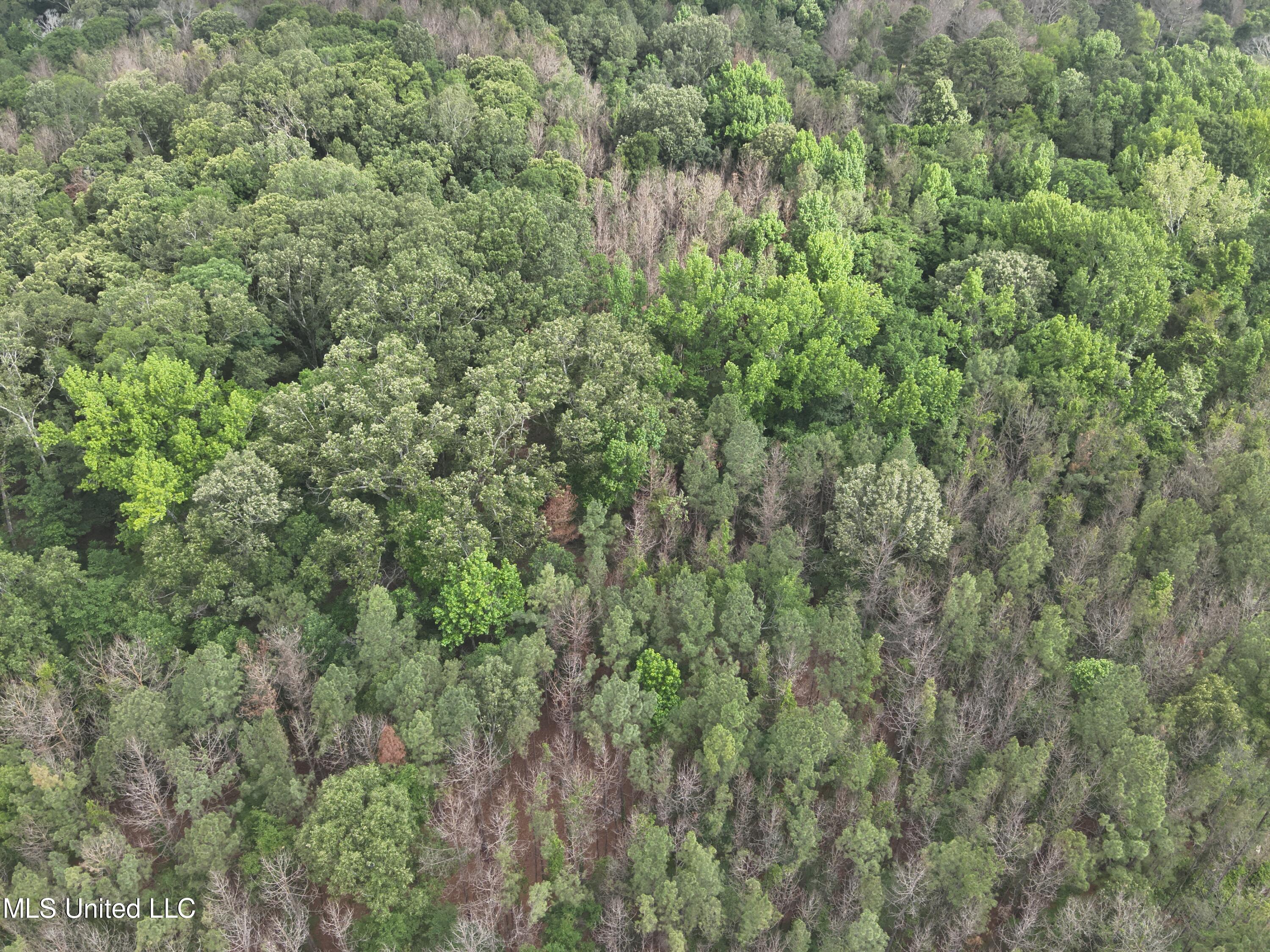 303 Pearl River Church Road Canton, MS 39046 - Photo 10 of 11 DJI_20240506092844_0018_V