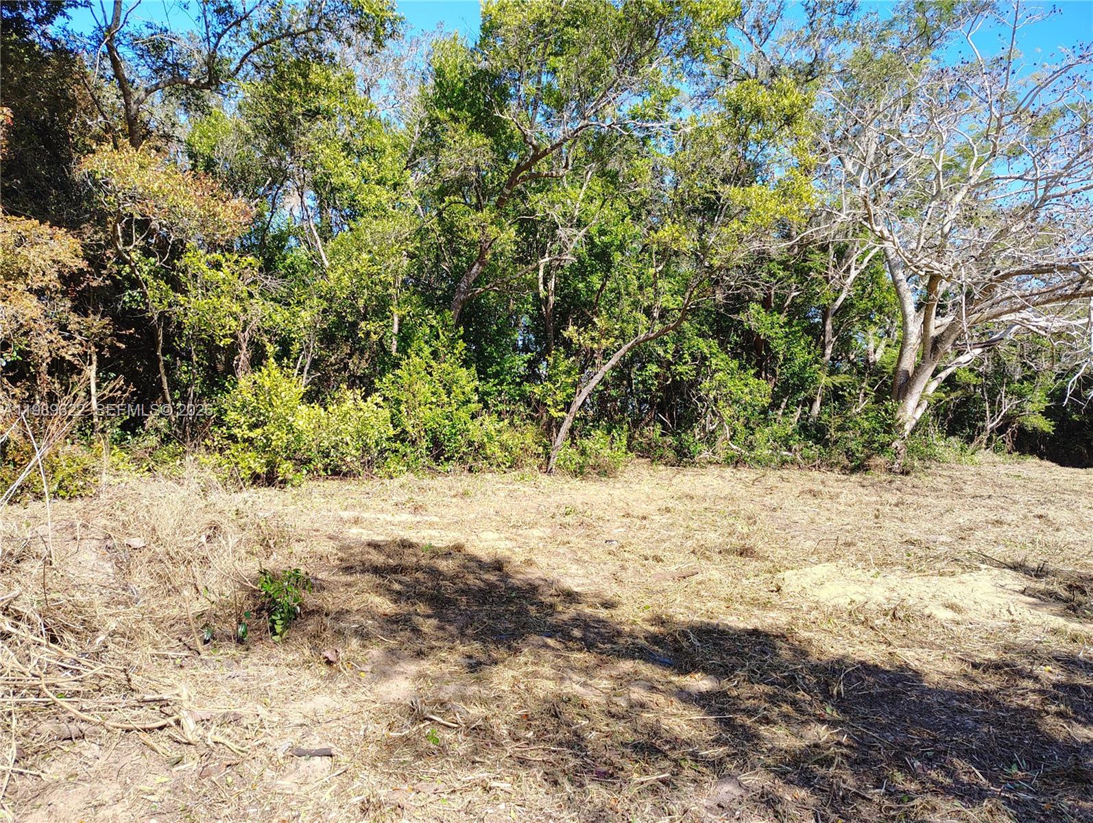 3505 Bethune Road Sebring, FL 33876 - Photo 2 of 3 a view of a yard with a tree
