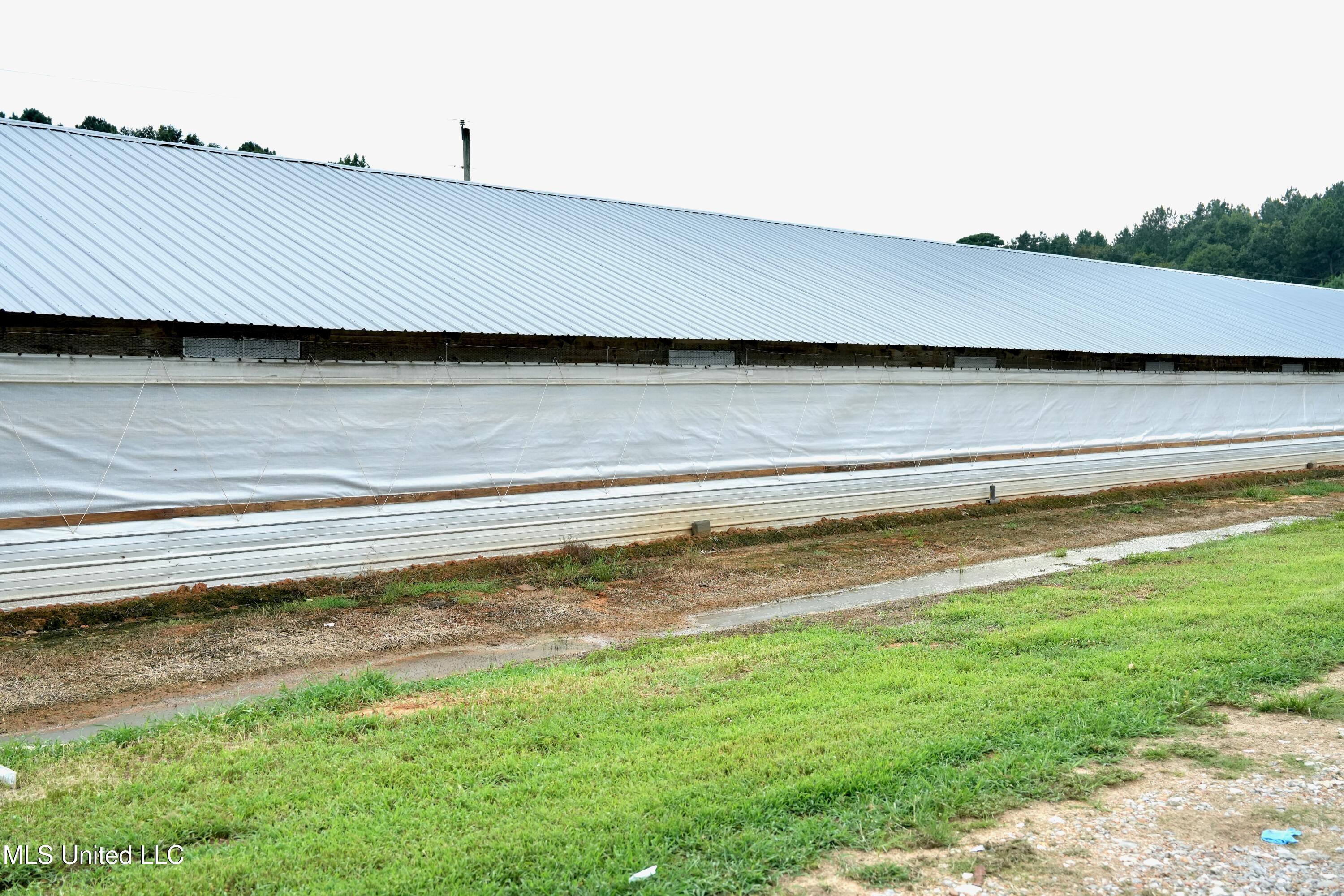 10671 Ms-427 Carthage, MS 39051 - Photo 12 of 49 DSC07713