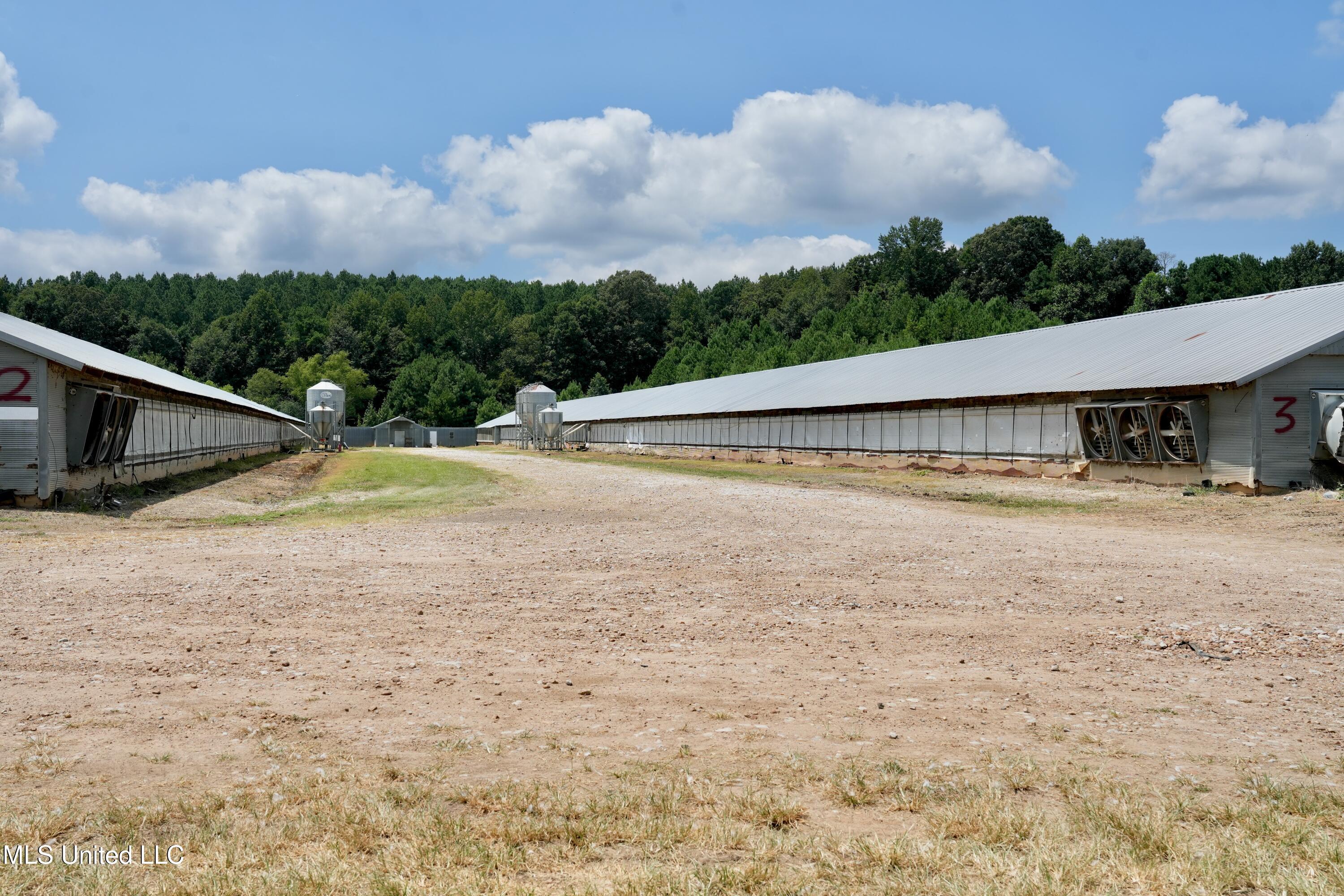 10671 Ms-427 Carthage, MS 39051 - Photo 15 of 49 DSC08846