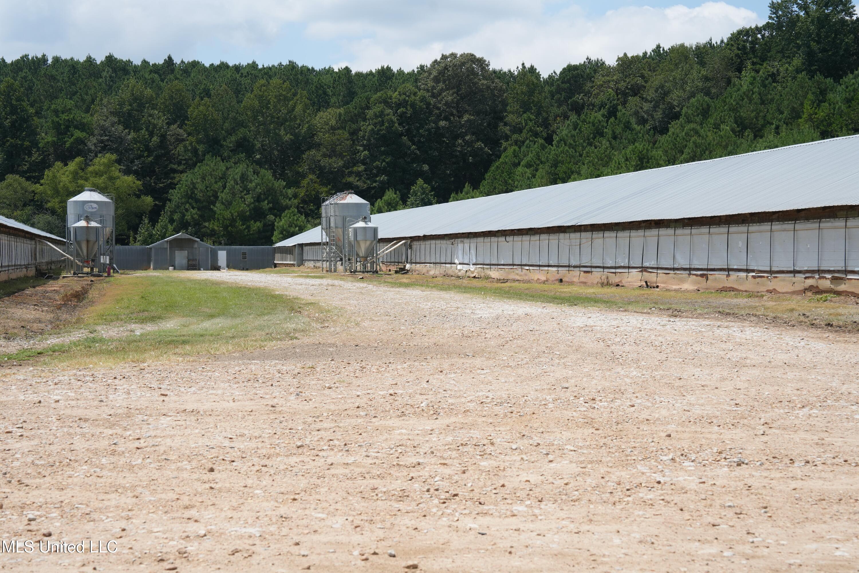 10671 Ms-427 Carthage, MS 39051 - Photo 16 of 49 DSC08847
