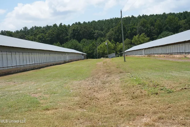 $983,000 | 10671 Ms-427, Carthage, MS 39051