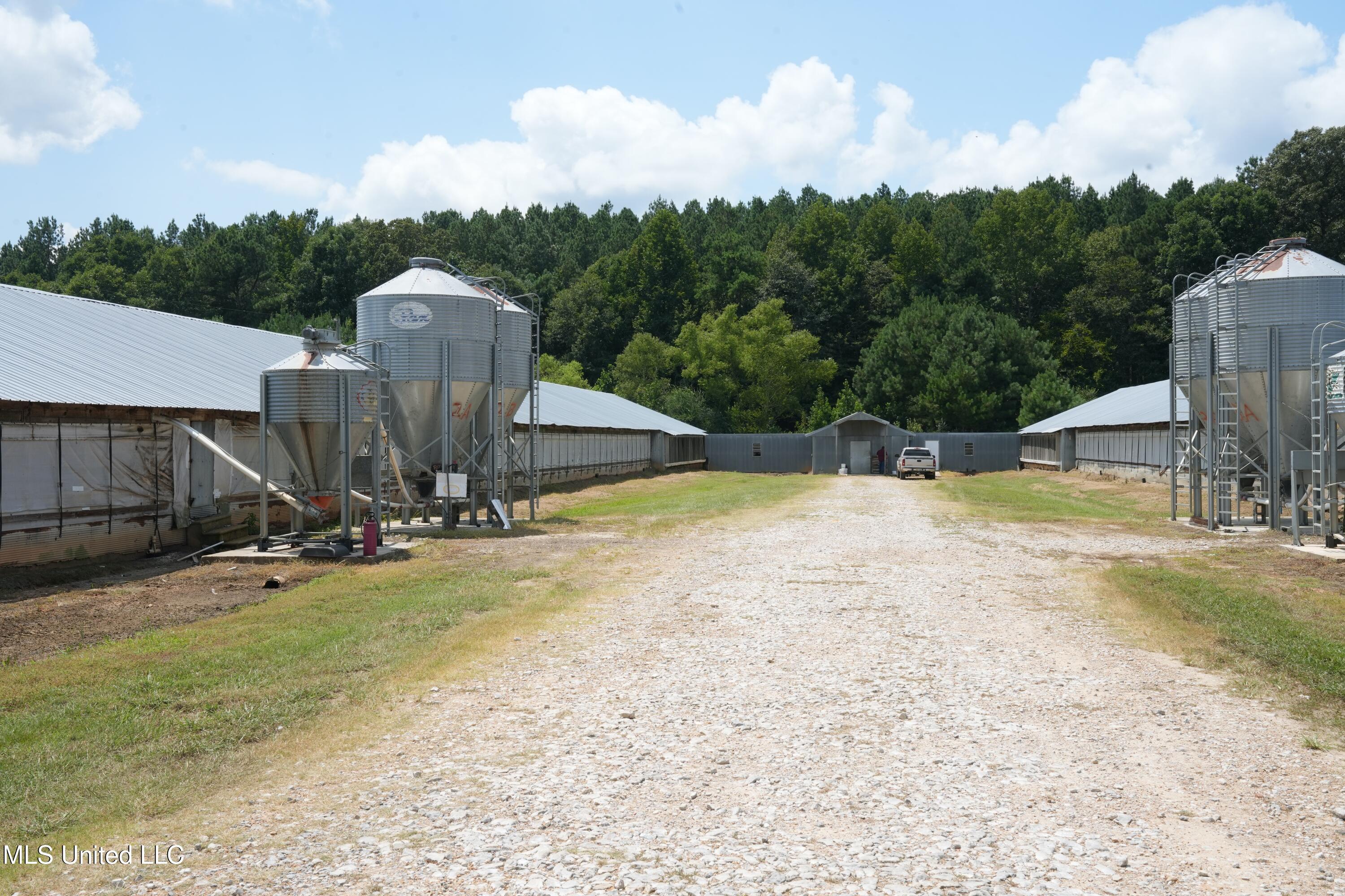 10671 Ms-427 Carthage, MS 39051 - Photo 36 of 49 DSC08886
