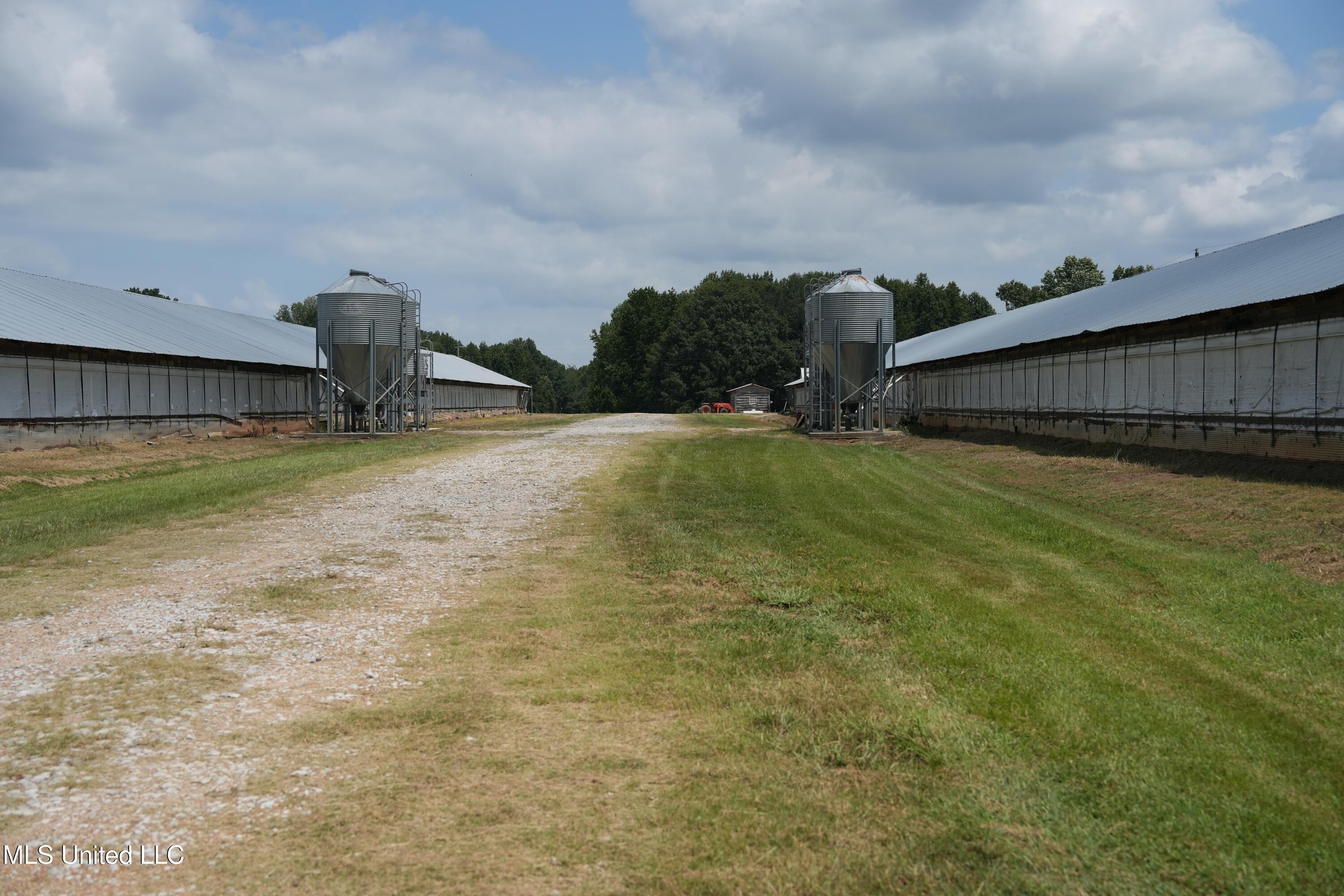 10671 Ms-427 Carthage, MS 39051 - Photo 39 of 49 DSC08893