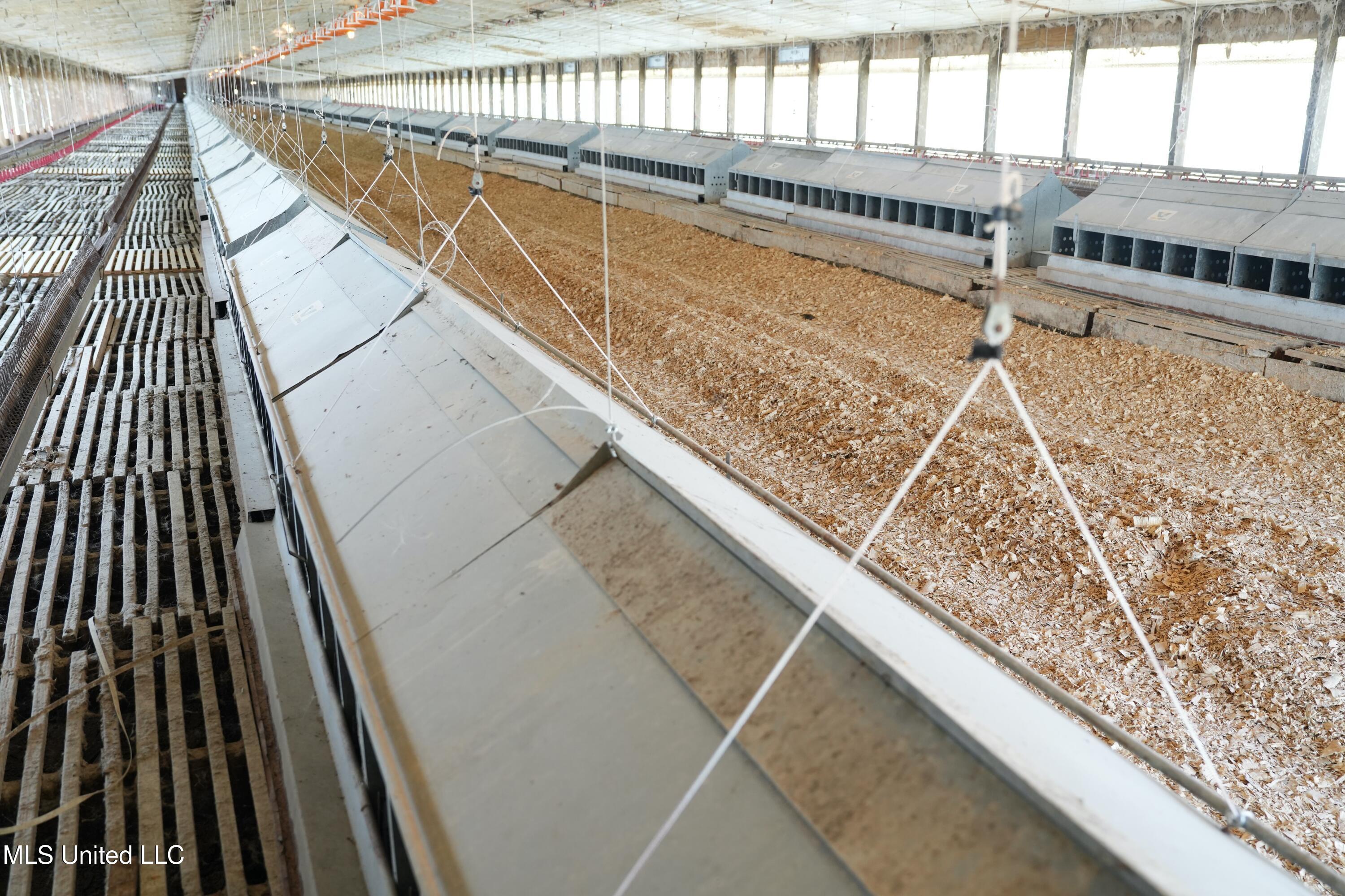 10671 Ms-427 Carthage, MS 39051 - Photo 4 of 49 DSC07667