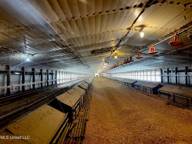 $983,000 | 10671 Ms-427, Carthage, MS 39051