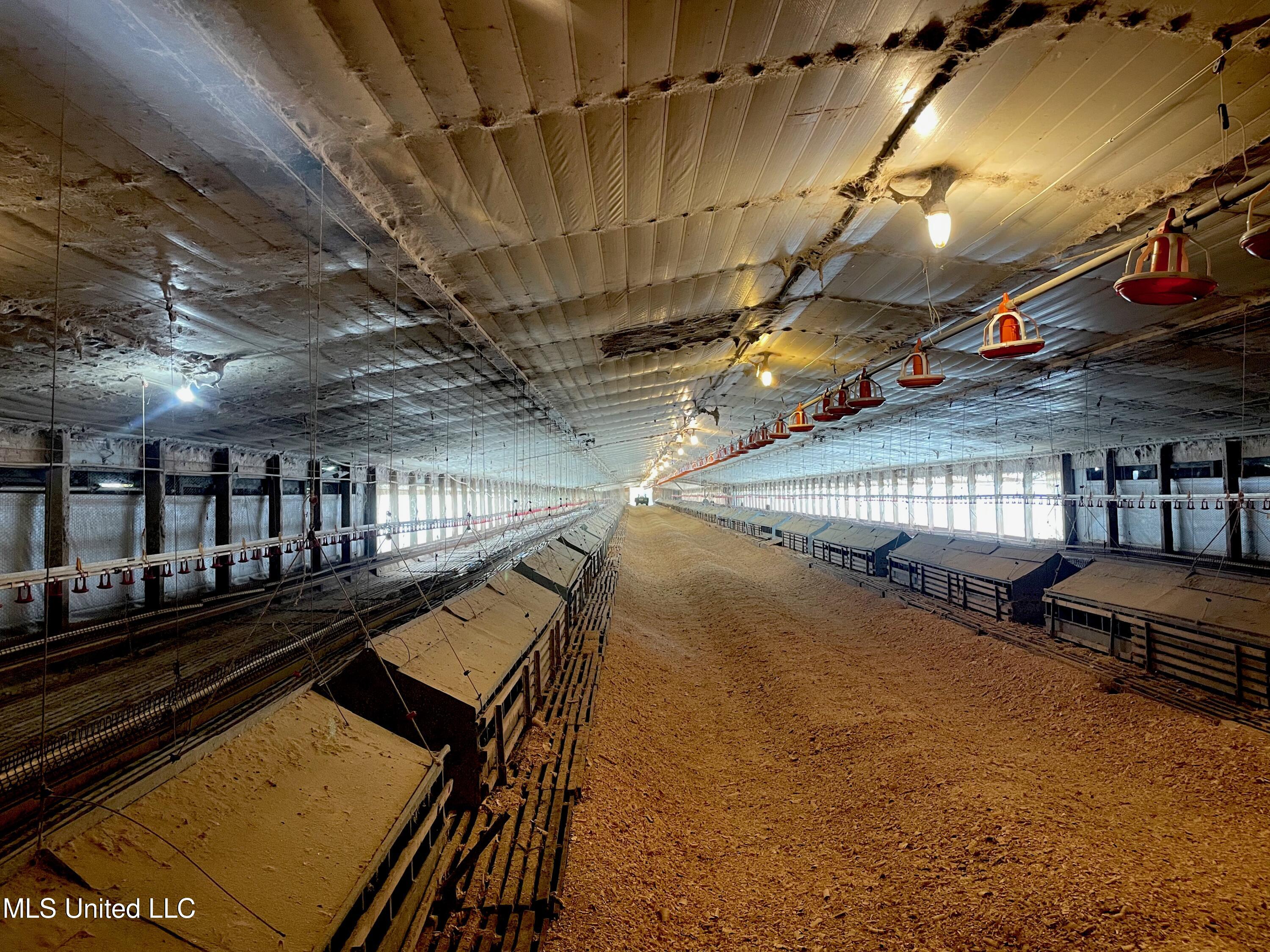 10671 Ms-427 Carthage, MS 39051 - Photo 45 of 49 IMG_1558