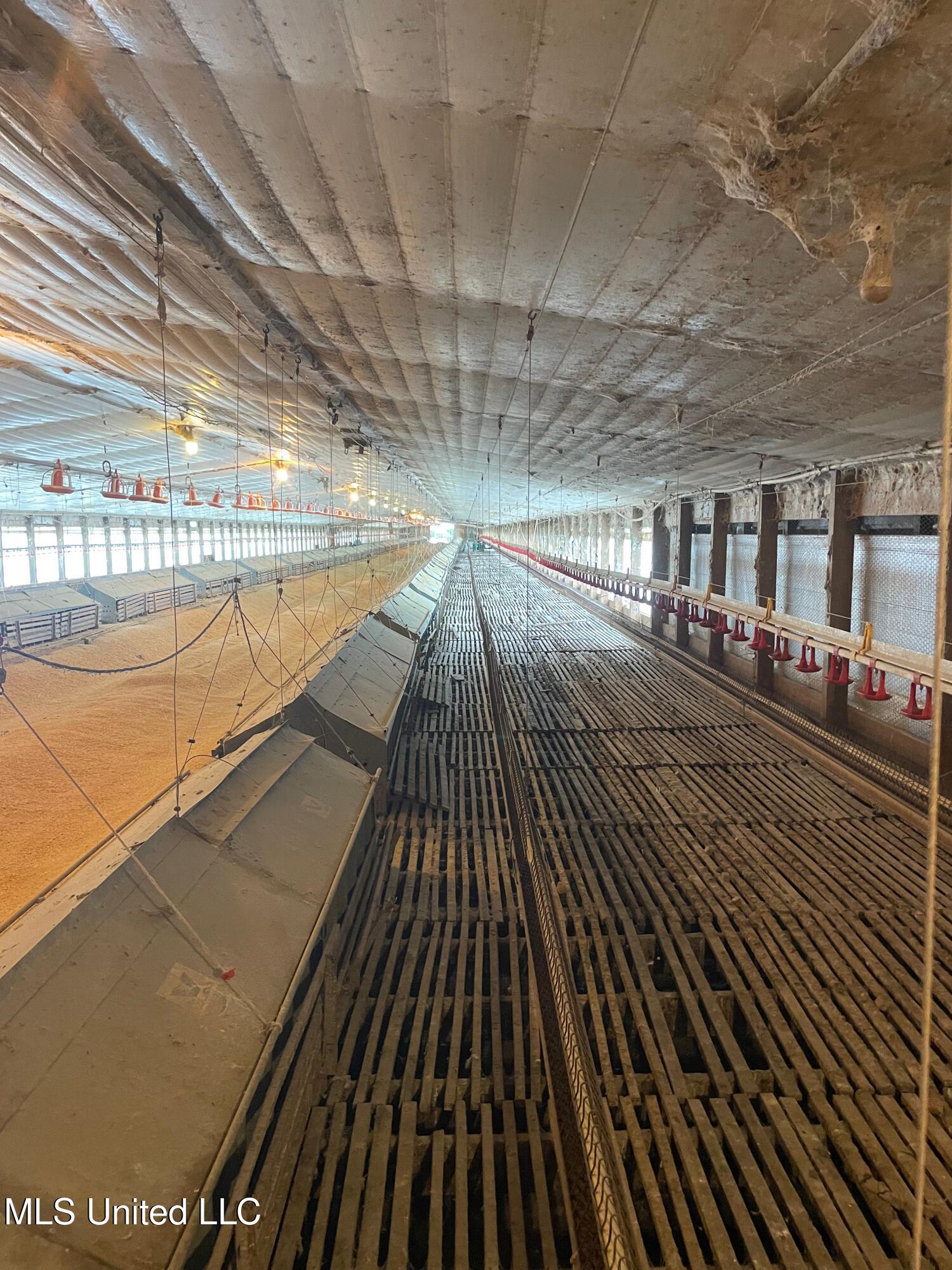 10671 Ms-427 Carthage, MS 39051 - Photo 48 of 49 IMG_1567