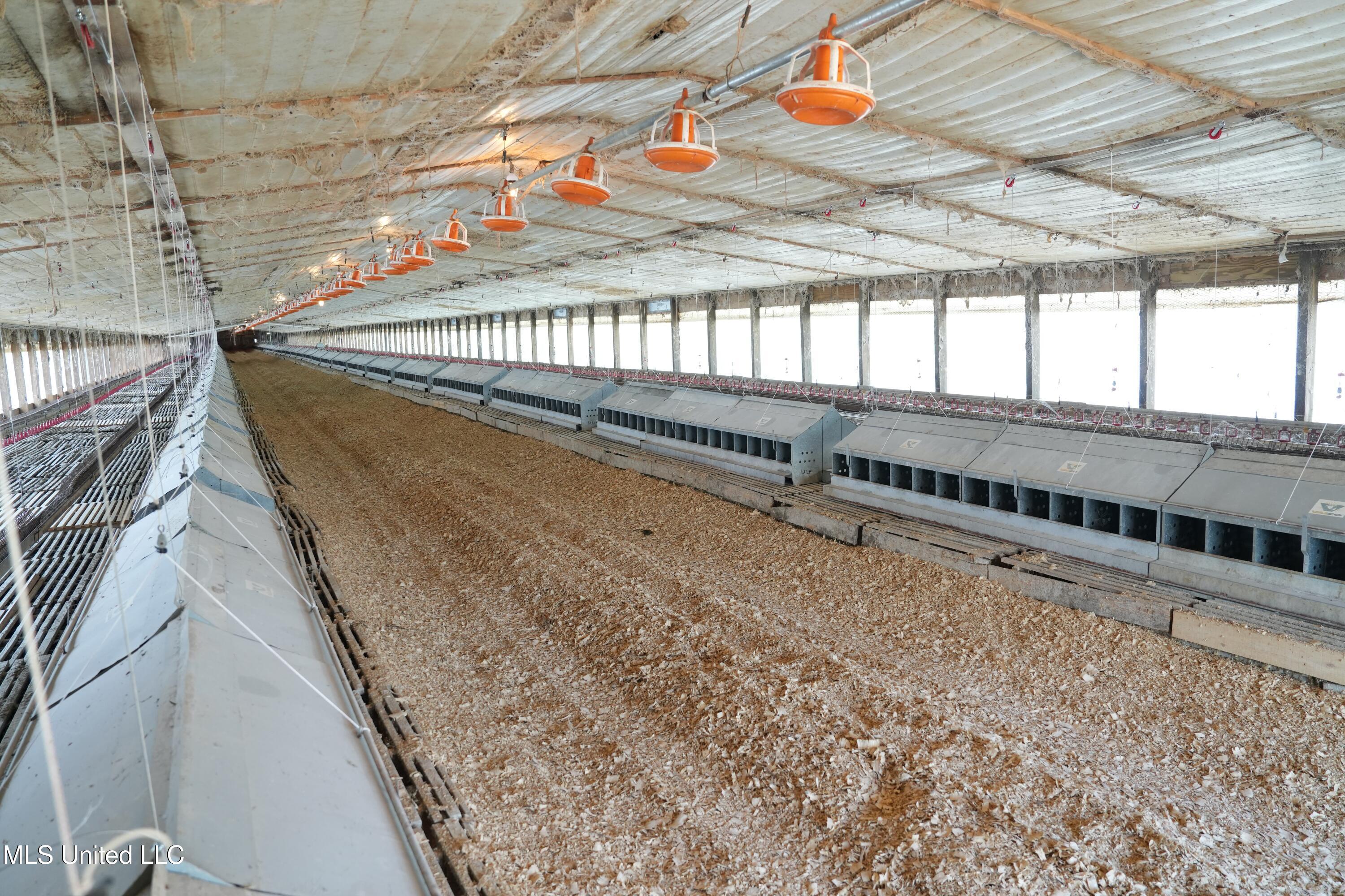 10671 Ms-427 Carthage, MS 39051 - Photo 5 of 49 DSC07669