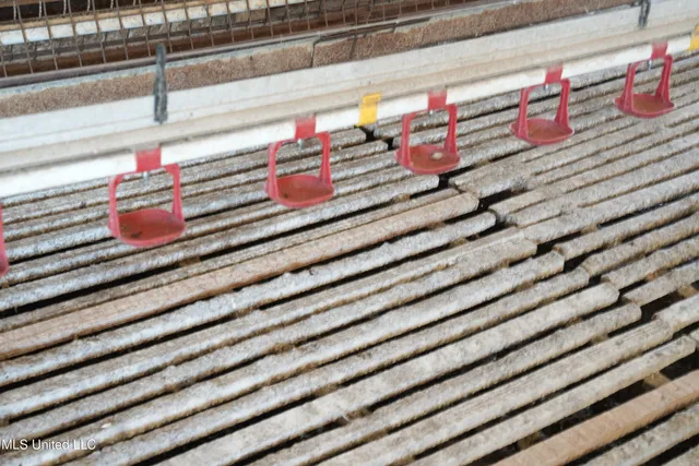 $983,000 | 10671 Ms-427, Carthage, MS 39051