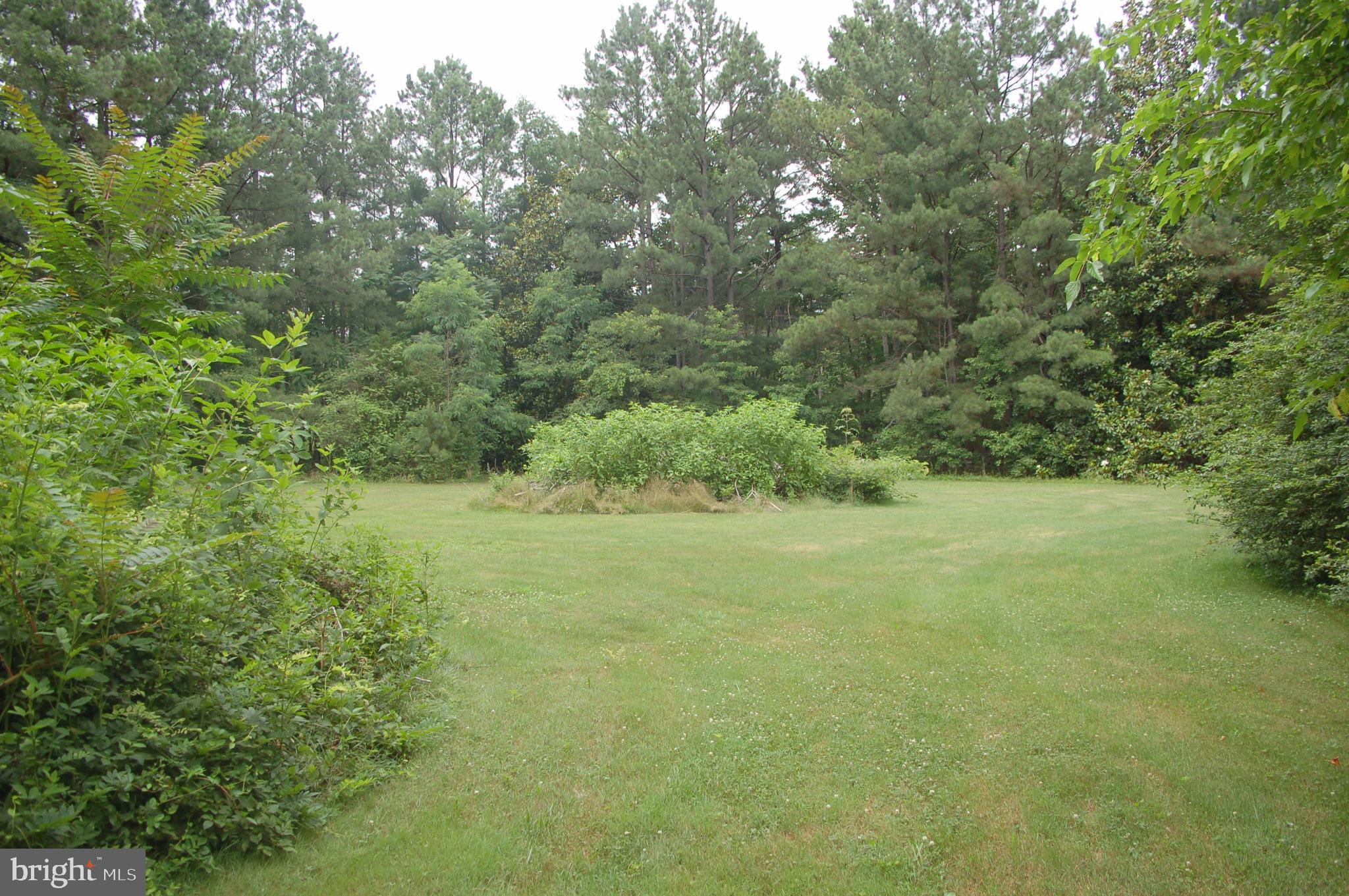9085 Dahlgren Road King George, VA 22485 - Photo 22 of 28 Partially Cleared Huge Back Yard