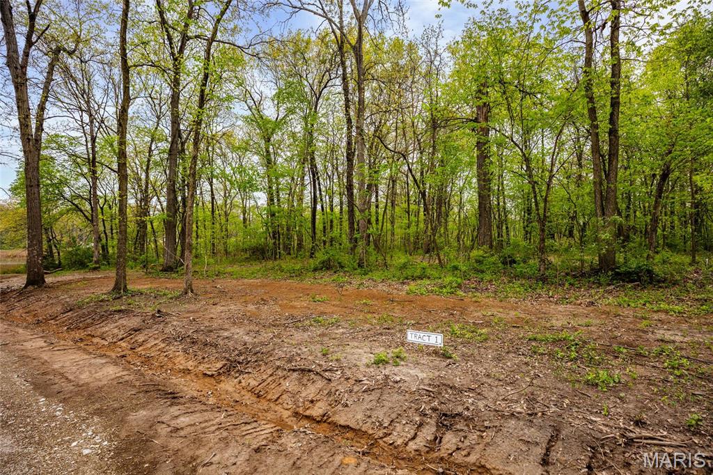 107 Weeks Lane Litchfield, IL 62056 - Photo 2 of 6