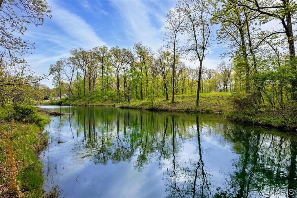 107 Weeks Lane Litchfield, IL 62056 - Photo 3 of 6