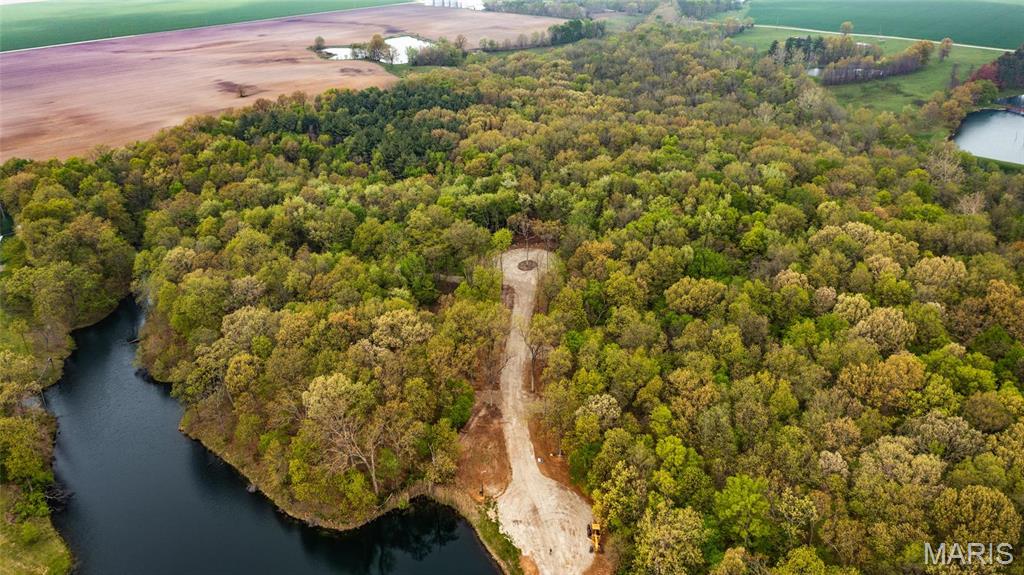 107 Weeks Lane Litchfield, IL 62056 - Photo 6 of 6