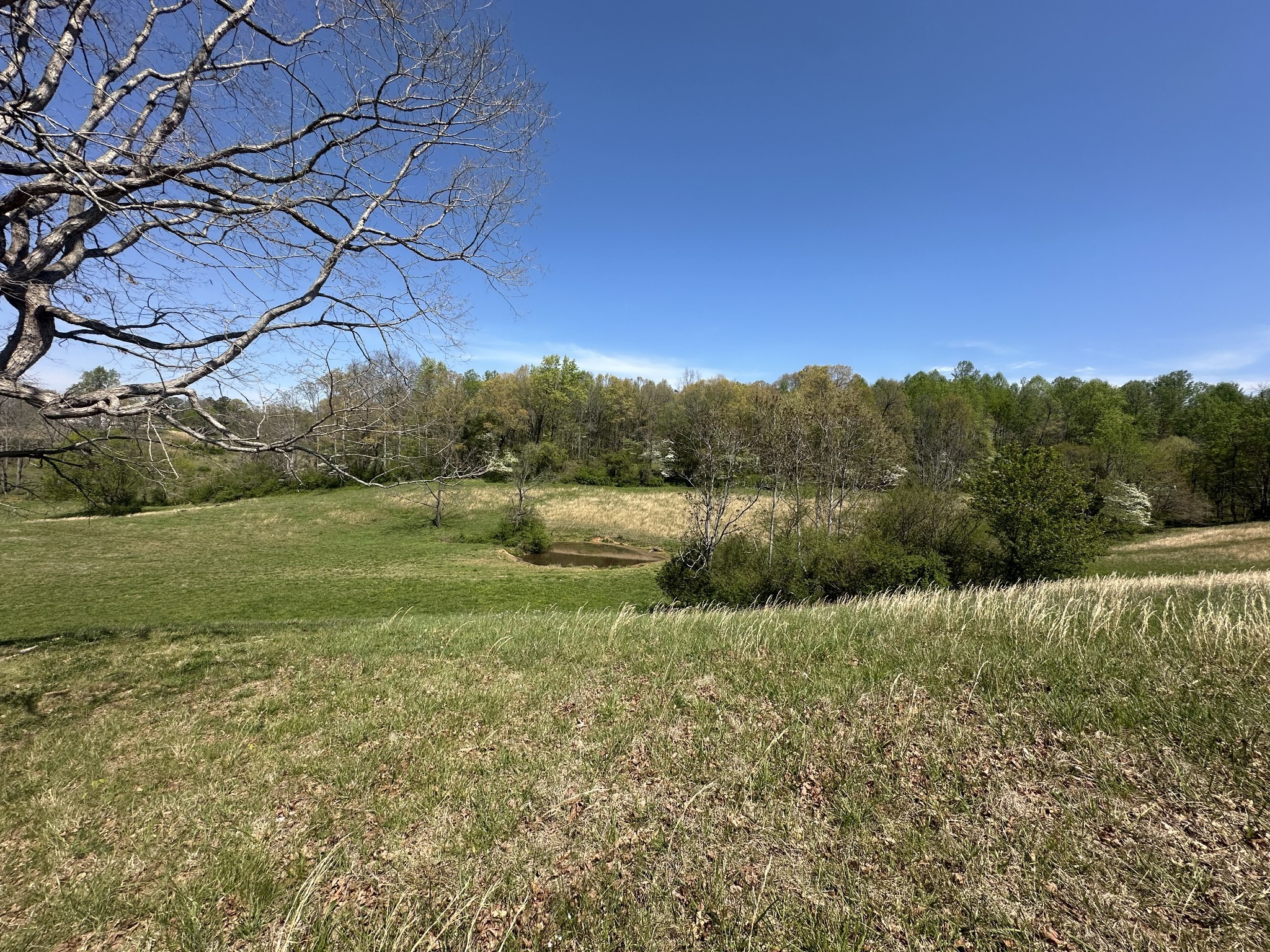 515 Jericho Road Quebeck, TN 38579 - Photo 18 of 54 Gallery Image 18