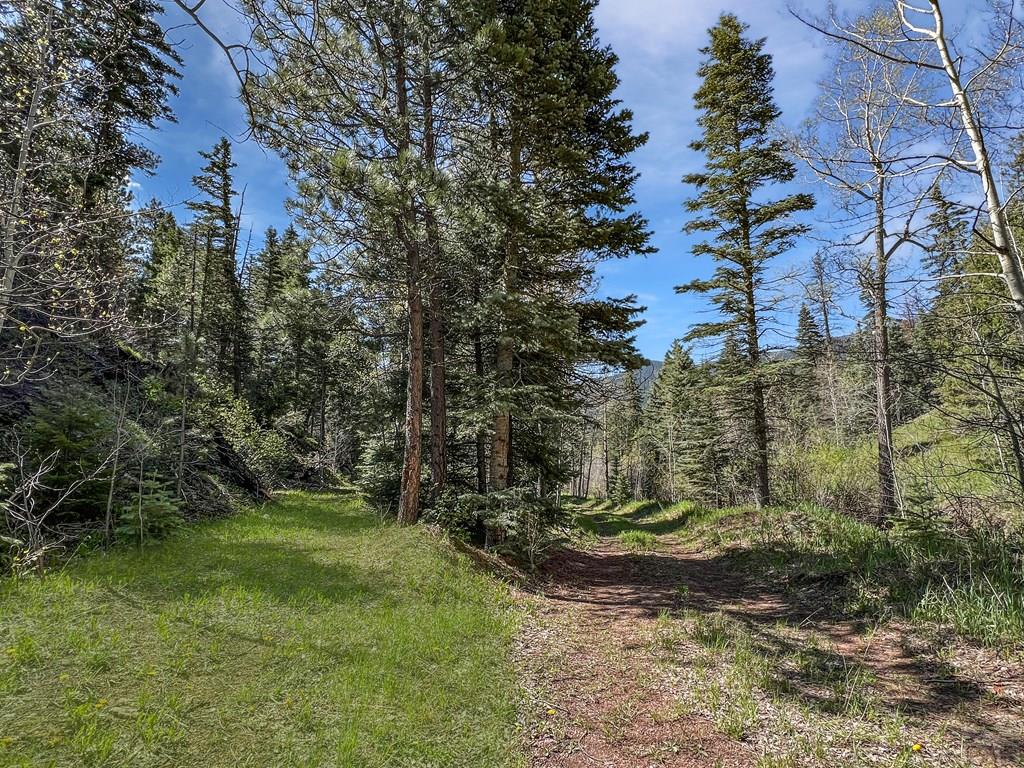 18450 Highway 165 Rye, CO 81069 - Photo 15 of 20