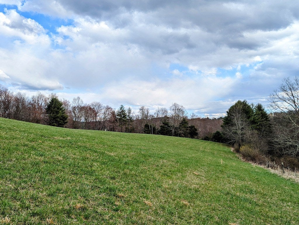 Tbd Timber Ridge Road Northwest, Unit 1 Willis, VA 24380 - Photo 23 of 38 Gallery Image 23
